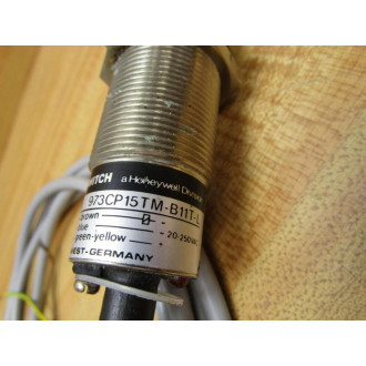 Micro Switch 973CP15TM-B11T-L Limit Switch 973CP15TMB11TL - Used