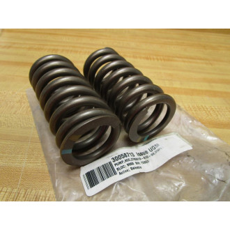 Viking 2-763-019-610-00 Spring 276301961000 (Pack of 2)