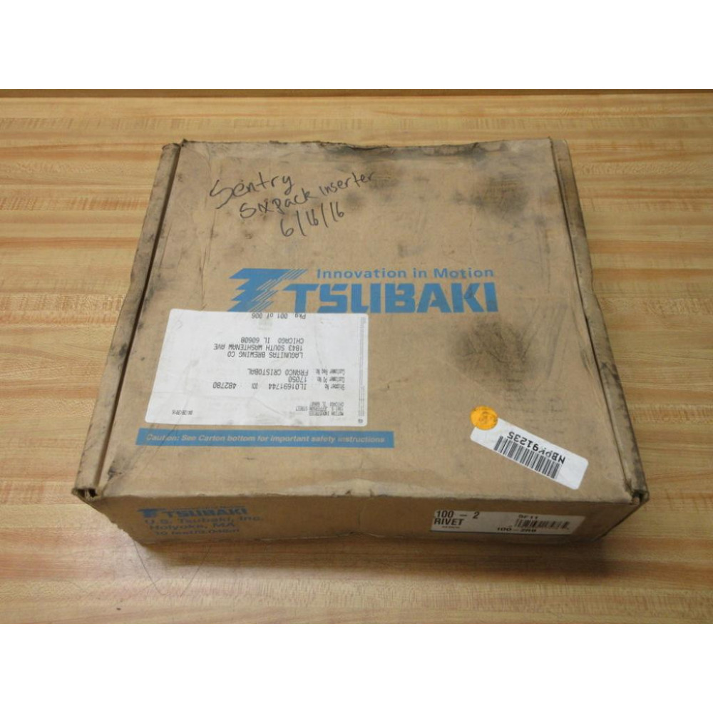 Tsubaki 100-2RB Roller Chain 100-2 10' Length