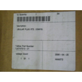 Watlow BLN747G13-21 Tubular Plug STD. Config