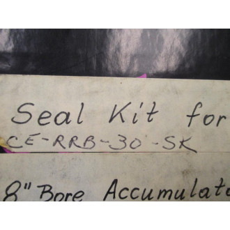 CE-RRB-30-SK Seal Kit CERRB30SK - New No Box