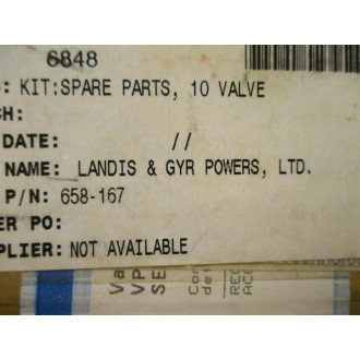 Landis & Gyr Powers 658-167 Valve Repacking Kit 658167