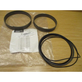 Hanna 706-00047-087H Piston Packing Kit 70600047087H