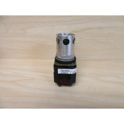 Allen Bradley 800T-PAH16G Pushbutton - Used