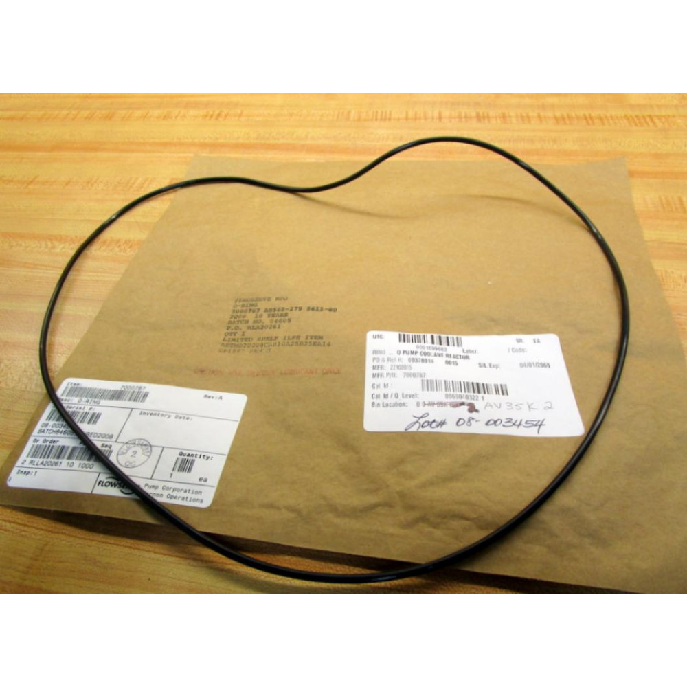 Flowserve 7000787 O-Ring