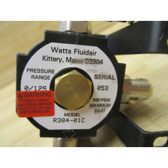 Watts Fluidair R384-01C Parker Regulator R38401C W Fittings & Mount - Used