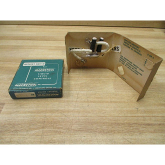 Magnetrol RP1013 Switch