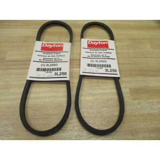 Dayton 3L250G Premium V-Belt 3L250 (Pack of 2)