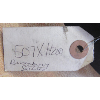 507XH200 Belt