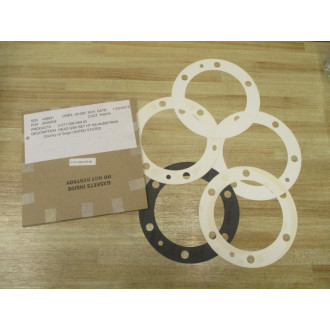 Viking Pump 3-311-006-999-00 Head Gasket Set 331100699900