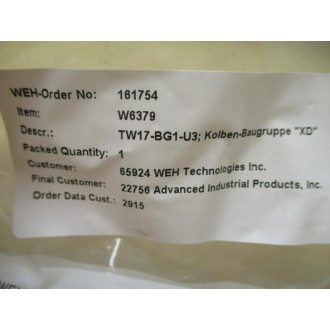 WEH TW17-BG1-U3 Piston Assembly  W6379