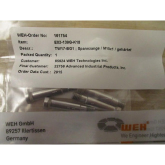 WEH 128240 Rebuild Kit For TW17V-W9031-025-XD-BG1M10X1HP