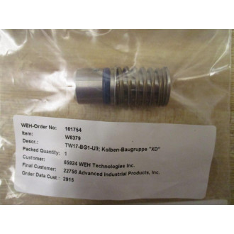 WEH 128240 Rebuild Kit For TW17V-W9031-025-XD-BG1M10X1HP