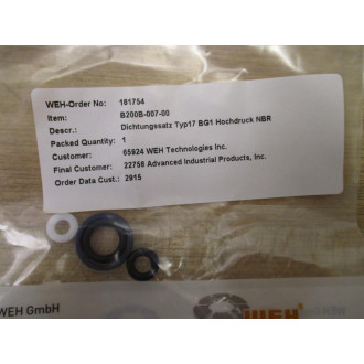 WEH 128240 Rebuild Kit For TW17V-W9031-025-XD-BG1M10X1HP
