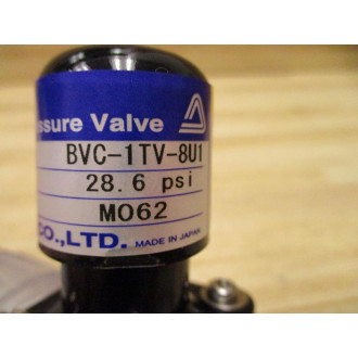 Iwaki BVC-1TV-8U1 Metering Back Pressure Valve