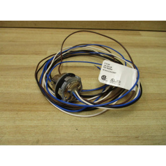 Turck FK 4.4-114.5NPT Eurofast Receptacle U2-03118 (Pack of 5) - New No Box