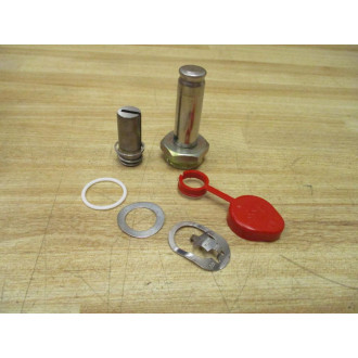 AscoRed Hat 304-352-T Valve Repair Kit 304352T