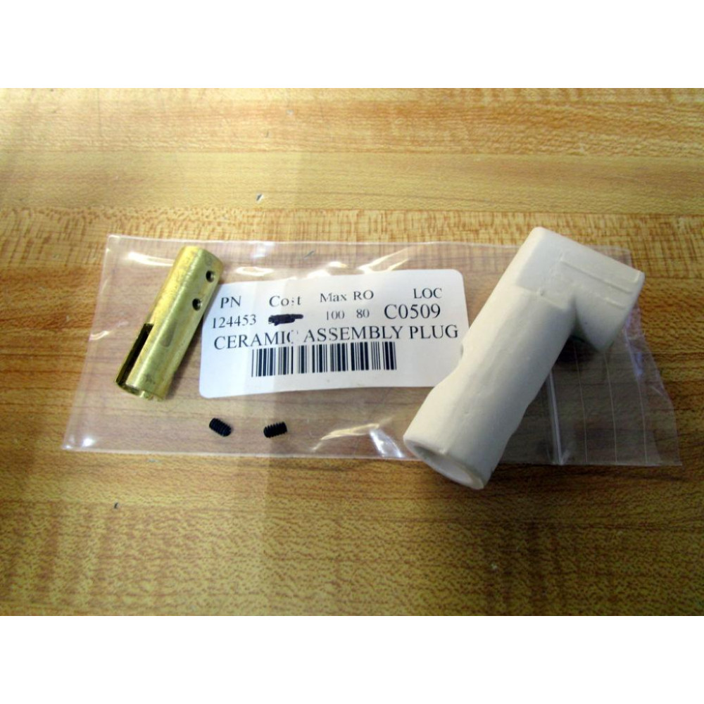 Generic 124453 Ceramic Plug Assy.