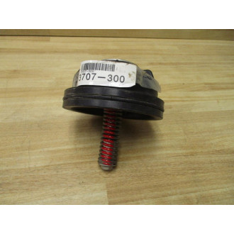 Wilkins 3707-300 Check Valve Assembly 3707300 - New No Box
