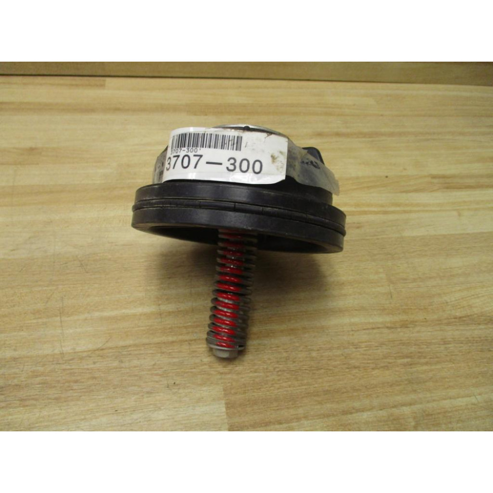 Wilkins 3707-300 Check Valve Assembly 3707300 - New No Box