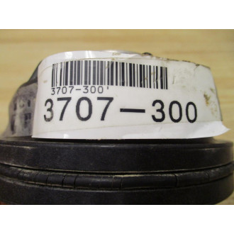 Wilkins 3707-300 Check Valve Assembly 3707300 - New No Box