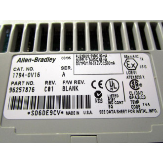 Allen Bradley 96257876 Output Module 1794-0V16 - Used