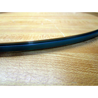 Tolomatic RKBC253094 Band Cylinder Repair RKBC253094