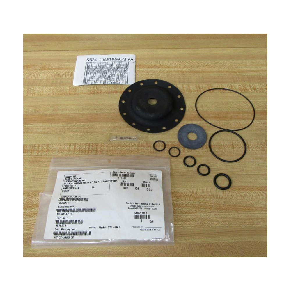 Pentair 1070274 Diaphragm Kit