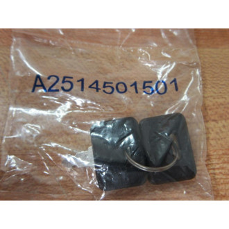 Allen Bradley A2514501501 Key (Pack of 2)