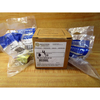 Western Enterprises CGA-300-510 Pneumatic Fitting Adapter 61 (Pack of 4)