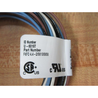 Turck FKFD 4.4-2S613S658 Eurofast Receptacle U-60197 - New No Box