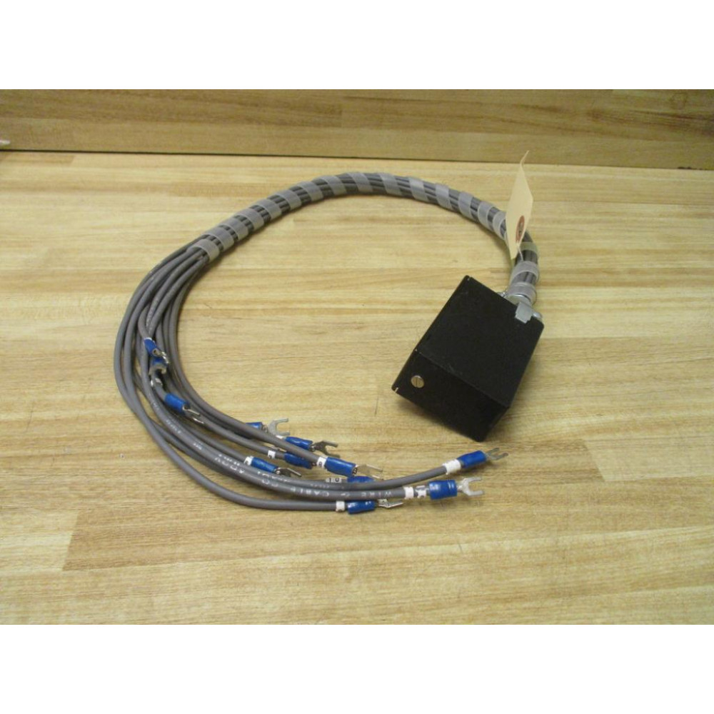 Cinch Jones 5412 Beau Socket 5412 - New No Box