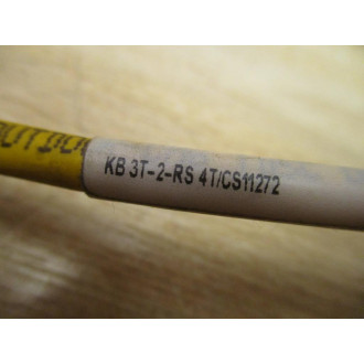 Turck KB 3T-2-RS 4TCS11272 Hybrid Molded Cordset U2-08402 - Used