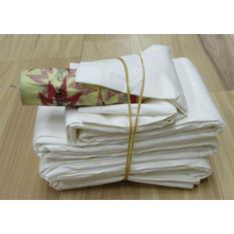 Bang & Clean Technologies 110L Filter Bag (Pack of 34)
