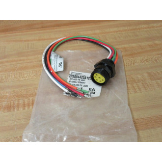 Daniel Woodhead 42607 Female Cable Assembly 2R6004A20A120 8 Amp