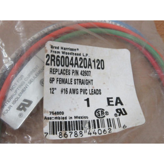 Daniel Woodhead 42607 Female Cable Assembly 2R6004A20A120 8 Amp