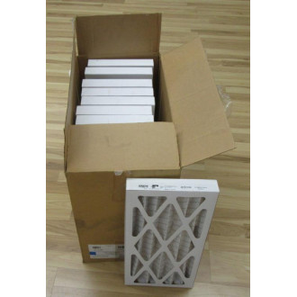 Aerostar 10379 Pleated Air Filter (Pack of 12)