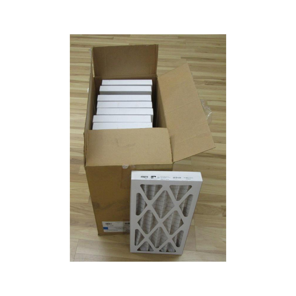 Aerostar 10379 Pleated Air Filter (Pack of 12)