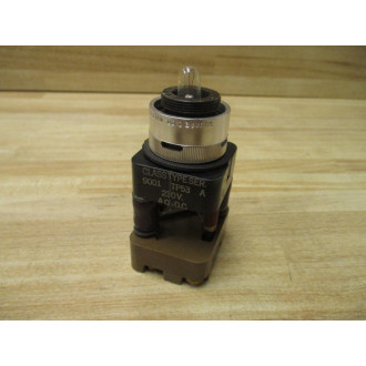 Square D 9001TP53 Illuminated Push Button Series A - New No Box