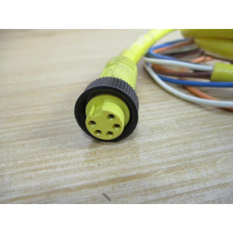 Allen Bradley 889N-F5AF-12F Cable 889NF5AF12F - Used