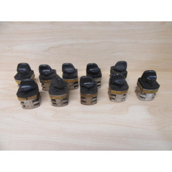 Obzor VSN-10 2-Level Cam Switch VSN10 (Pack of 10) - Used