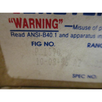 Ametek P-1590 Water Pressure Gauge P1590