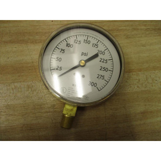 Ametek P-1590 Water Pressure Gauge P1590
