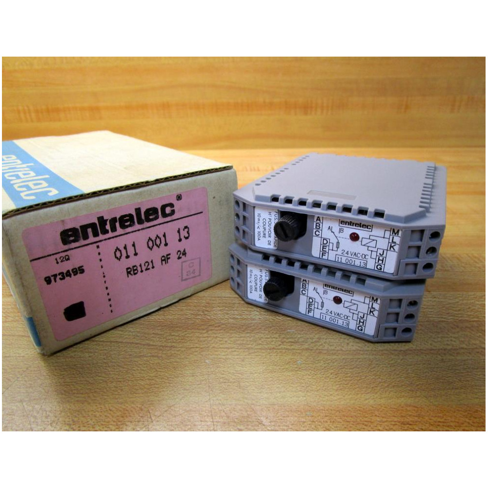 Entrelec RB121 AF 24 Relay 11 001 13 011 001 13 (Pack of 2)