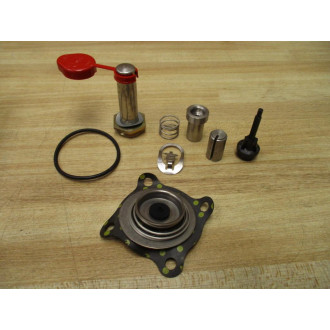 AscoRed Hat 302334 Valve Rebuild Kit