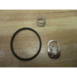 AscoRed Hat 302334 Valve Rebuild Kit