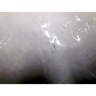 Numatics EKF9024D Filter Element .3 Micron WSmall Tear