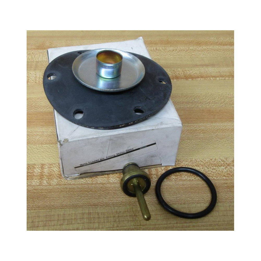 Watts Fluid Air RK115A Repair Kit