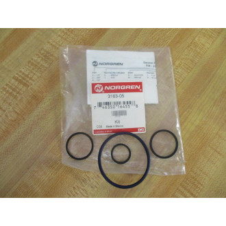 Norgren 3163-05 DESII Repair Kit 316305