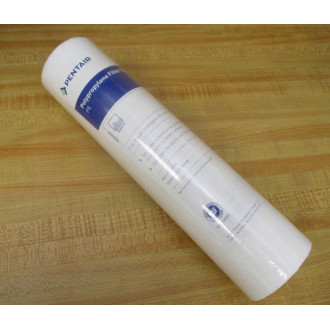 Pentair P5 Sediment Filter Cartridge 5 Micron (Pack of 2)
